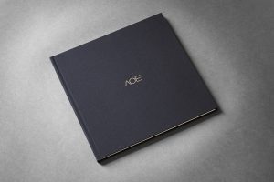 AOE wedding album design cover